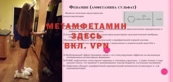 дмт Ельня