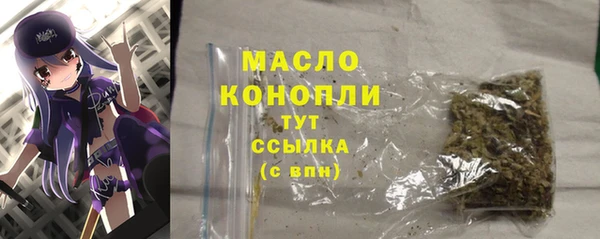 дмт Ельня