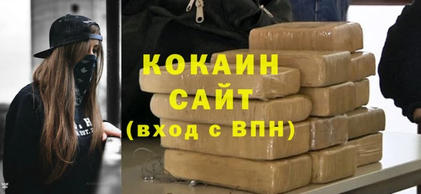 дмт Ельня