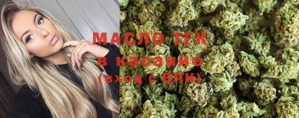 дмт Ельня