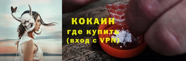 дмт Ельня