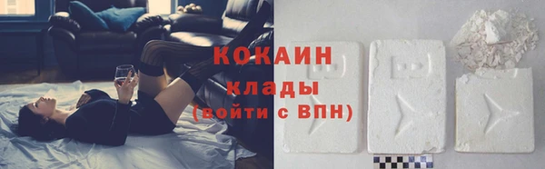 гидра Елизово