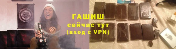 гидра Елизово