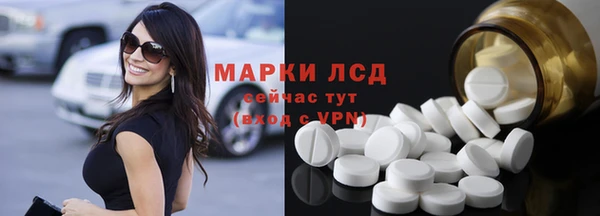гидра Елизово
