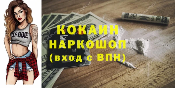 дмт Ельня
