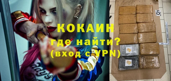 дмт Ельня