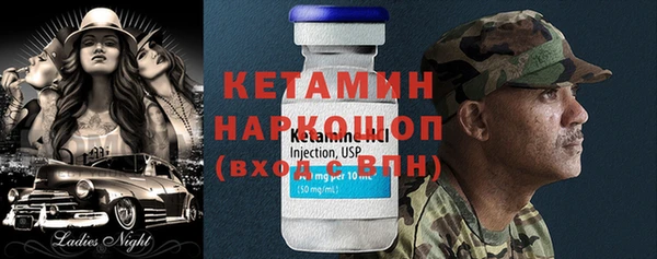 дмт Ельня