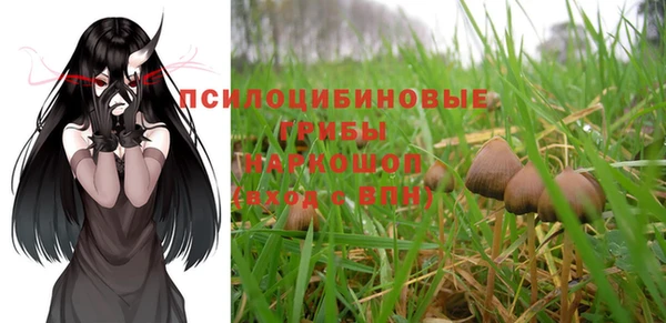 гидра Елизово