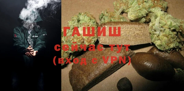 гидра Елизово