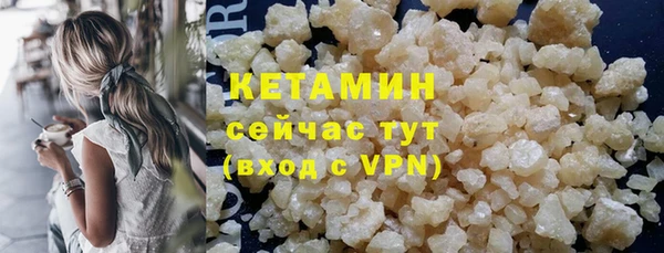 гидра Елизово