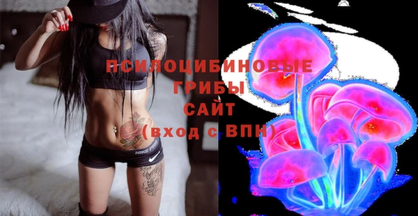 дмт Ельня