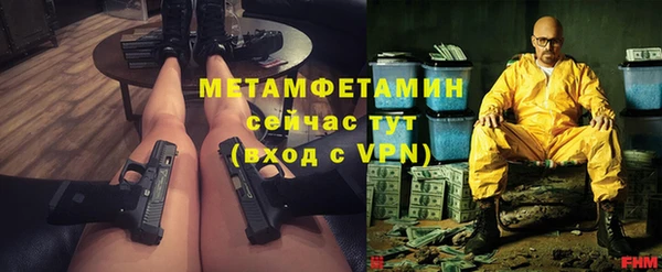 гидра Елизово
