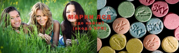 гидра Елизово