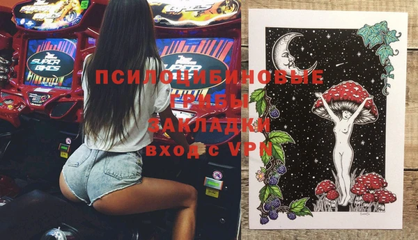дмт Ельня