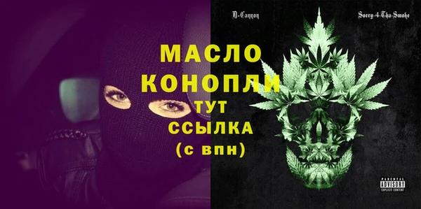 гидра Елизово